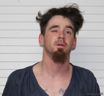 Ryan Michael Copeland Mugshot