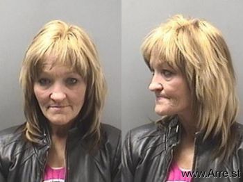 Robin Lynn Hays Mugshot