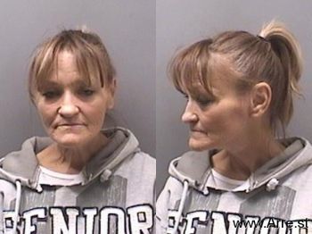 Robin Lynn Hays Mugshot