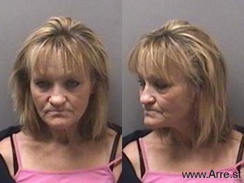 Robin Lynn Hays Mugshot