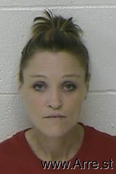 Robin Lynn Hays Mugshot