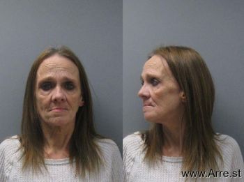 Robin Gail Schultz Mugshot