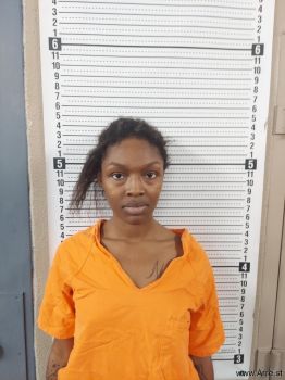 Sakeena Marie Austin Mugshot