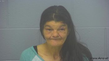 Sandra Lynn Anderson Mugshot