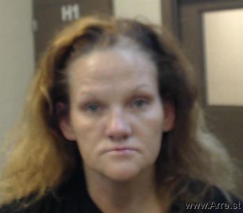 Sandra  Lee Mugshot