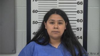 Sandra M Mendoza Mugshot