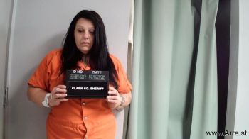 Sandy Lynn Cook Mugshot