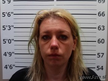 Sarah Lynette Roettgen Mugshot