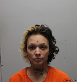 Shelby M Barnett Mugshot