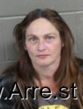 Sherri Lynn Miller Mugshot