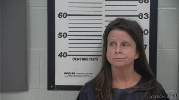 Stacy Lynn Bruce Mugshot