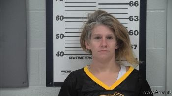 Susanna Raschell Larson Mugshot