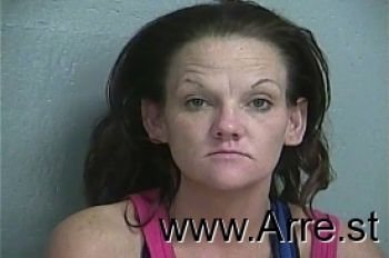 Sandra Elaine Lee Mugshot