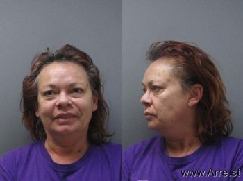 Sandra Sue Williams Mugshot