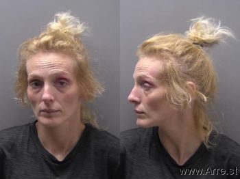 Sarah Rachelle Hogan Mugshot