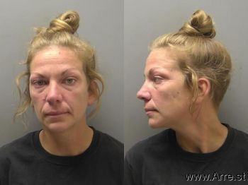 Sarah Danielle Price Mugshot