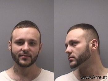 Sean Michael Williamson Mugshot