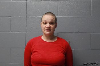 Susan Elaine Weaver Mugshot