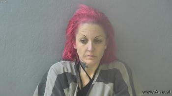 Tara Lynn Turner Mugshot