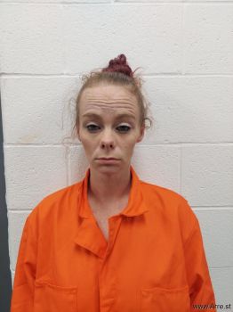 Theresa Ann Phillips Mugshot