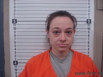 Tracy Ann Anderson Mugshot