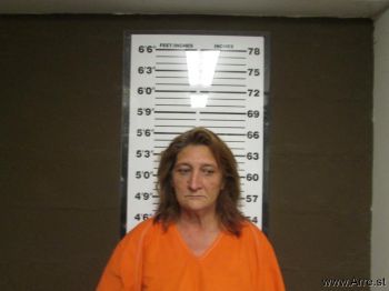 Tammy Lynn Wolpers Mugshot