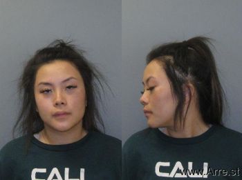 Tina Le Nguyen Mugshot