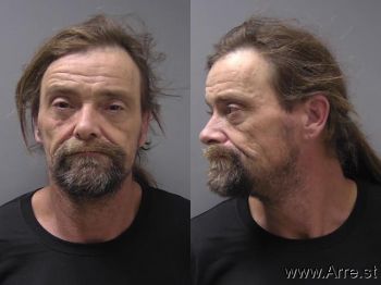 Troy Lynn Ellinger Mugshot