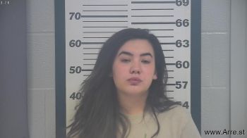 Vanessa Michelle Anderson Mugshot