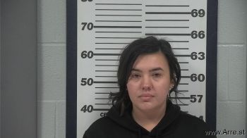 Vanessa  Anderson Mugshot