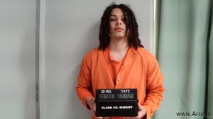 Austin Holtke Arrest Mugshot
