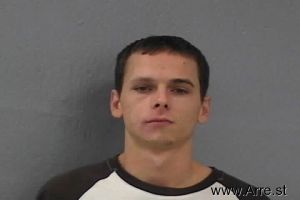 Branden Lansdown Arrest