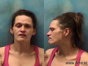 Danielle Stout Arrest Mugshot