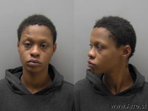 Frederika Farmer Arrest Mugshot