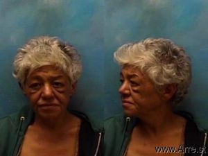 Haleh Lameh Arrest Mugshot