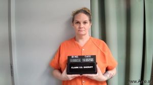 Jessica Lannie Arrest Mugshot
