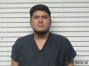 Luis Moreno-garcia Arrest