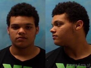 Mason Williams Arrest Mugshot