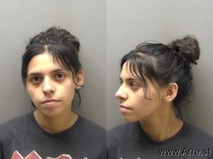 Mya Sanchez Arrest Mugshot