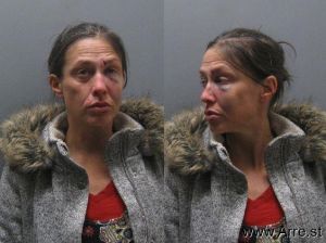 Sandra Levy Arrest Mugshot