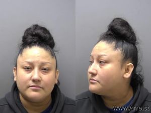 Silvia Botello Arrest Mugshot