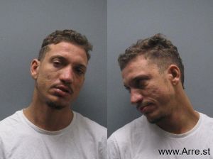 Terry Bulla Arrest Mugshot