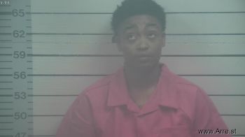 Adrianna  Palmer Mugshot