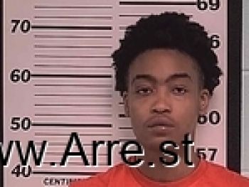 Adrianna Tasha Palmer Mugshot