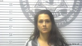 Amanda Lee Brown Mugshot