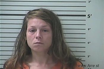 Amanda Michelle Mason Mugshot