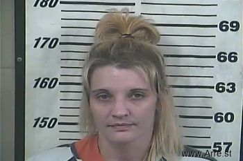 Amy B Cobb Mugshot