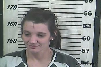 Amy Brooke Cobb Mugshot