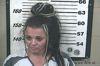 Amy Melissa Daniels Mugshot