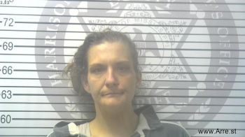 Amy Renee Ladner Mugshot